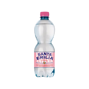 Santa Emilia Mineralwasser NATURALE-image